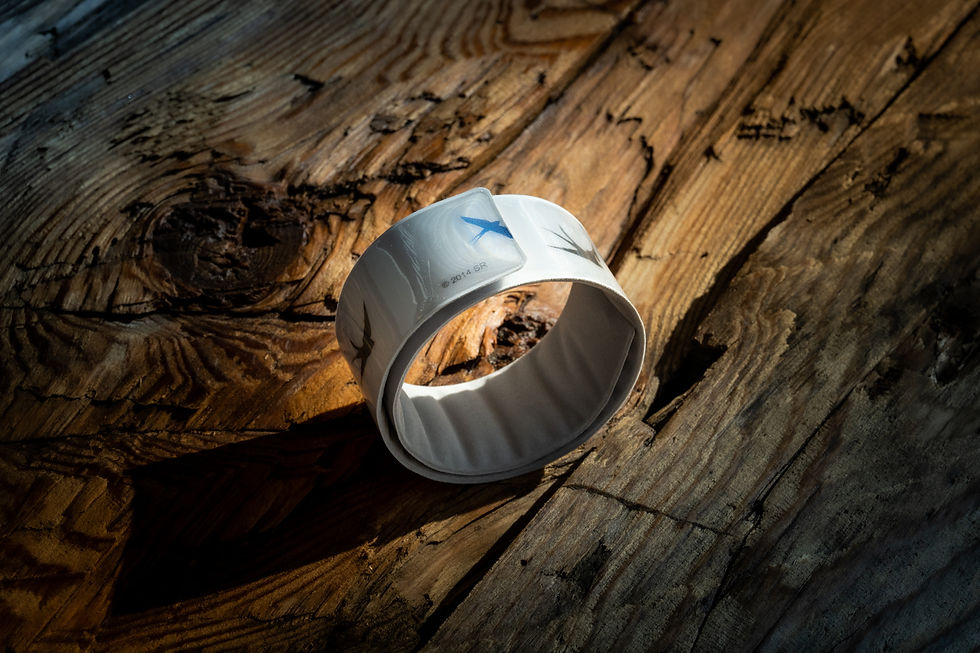 Thumbnail: Slap Wrap - Swallows