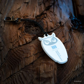 RH-480-B, Haridus- ja Teadusministeerium, kinnitusega.jpg