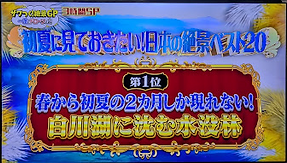 第１位水没林.png
