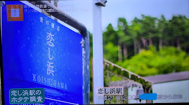 小石浜駅から改称加筆.png