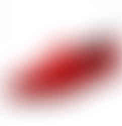 Flat ballerina shoes by Vivien Lauren