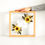 Thumbnail: Pressed Flowers - Square Frame Medium 30x30cm