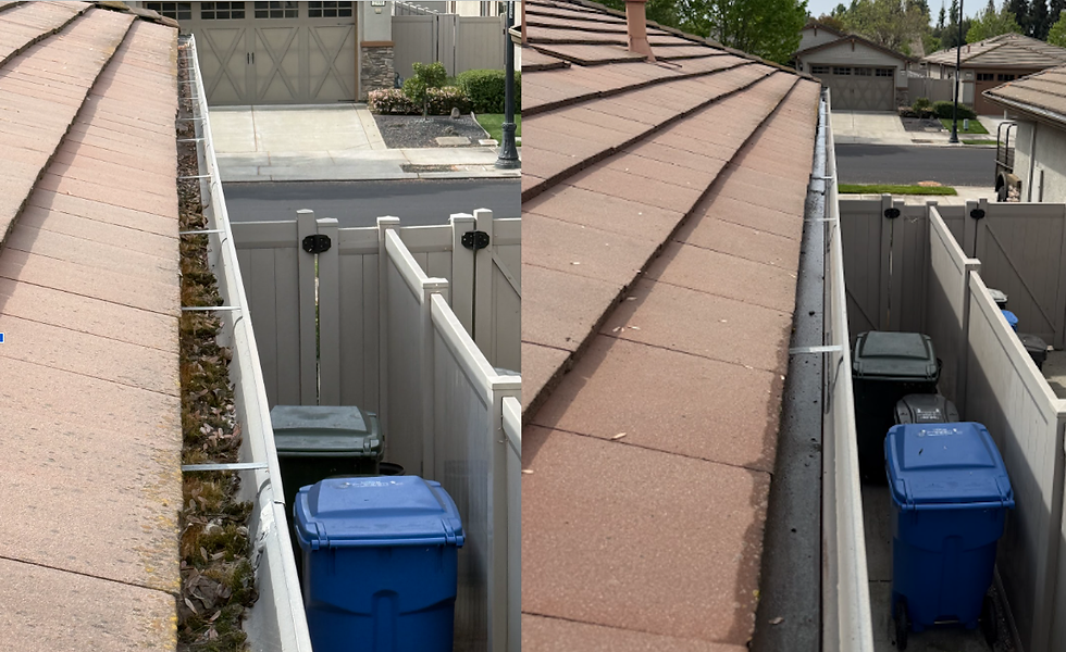 gutter cleaning before and after.png
