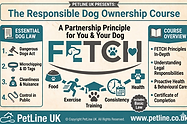 Online responsible dog ownership course