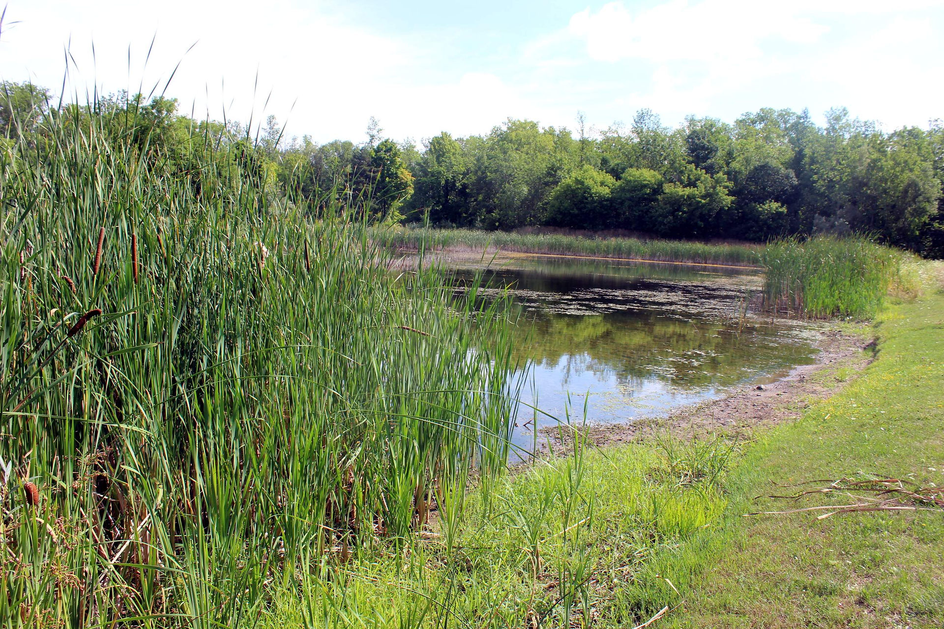 first pond