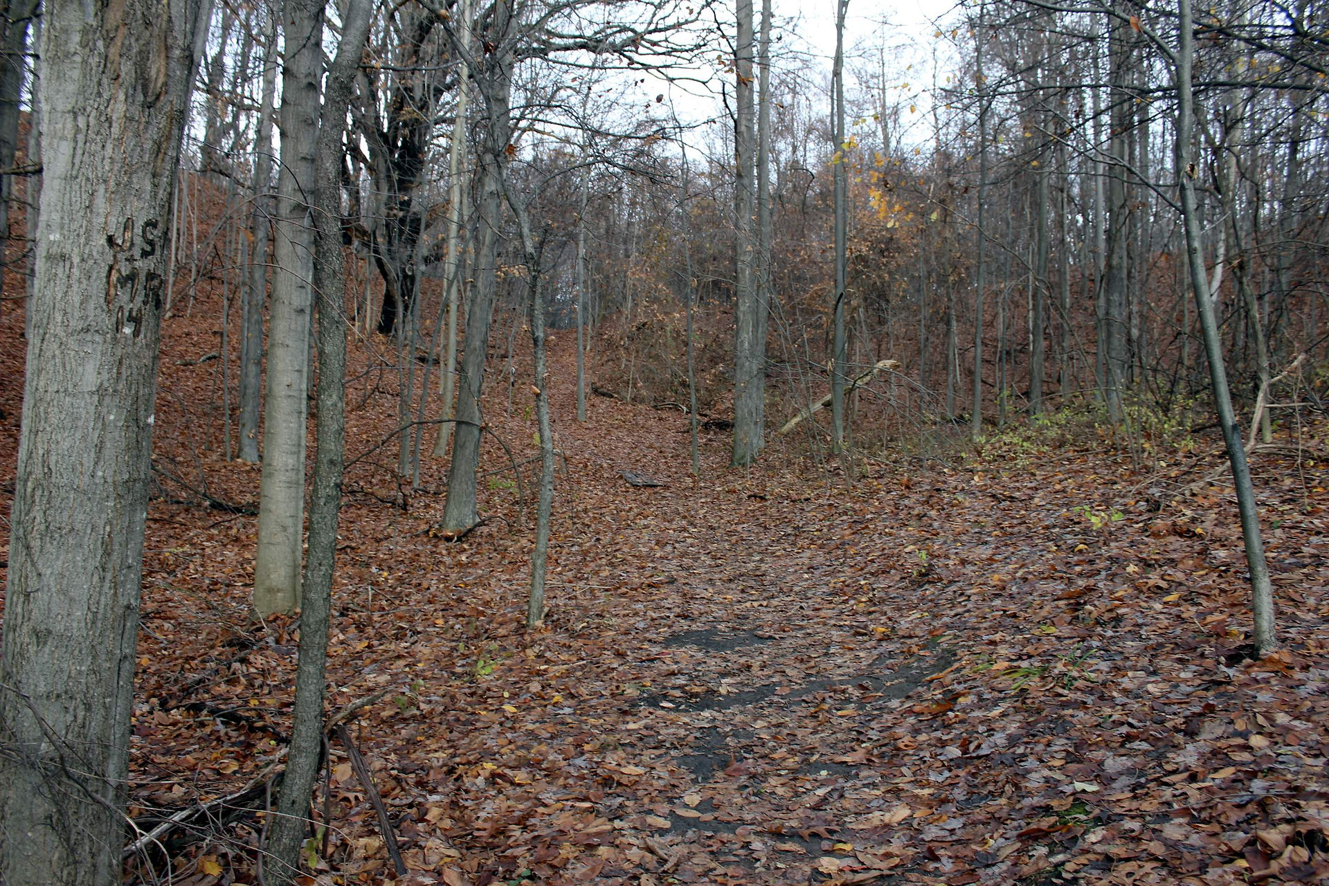 IMG_3486