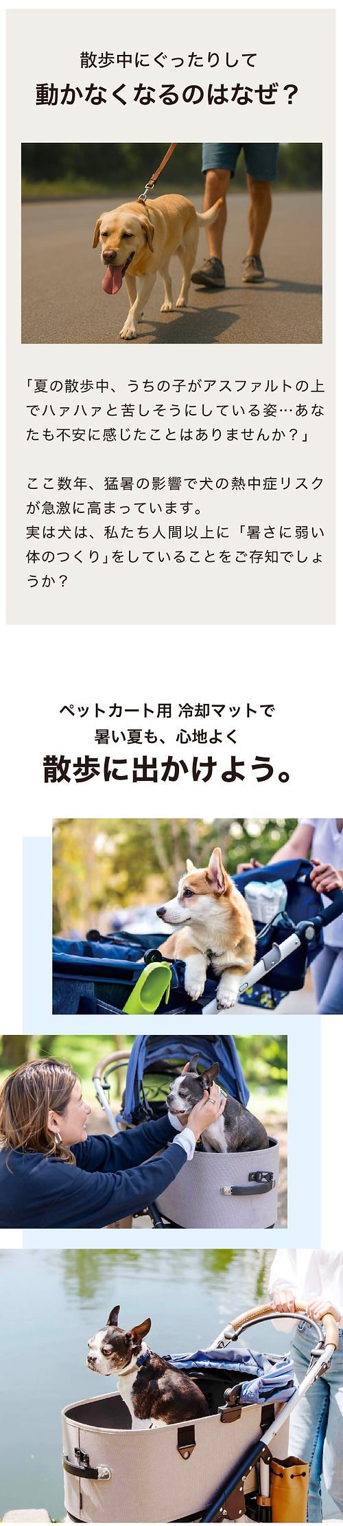 エアモンペットお出かけ.jpg