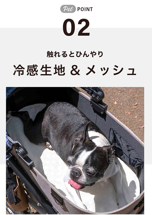 エアモンペットポイント2.jpg