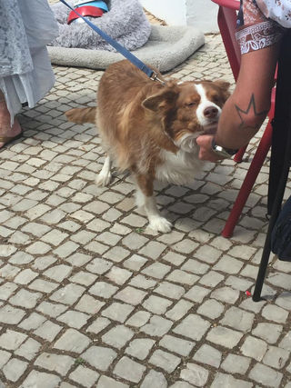 WhatsApp Image 2023-06-25 at 17.37.32 (4).jpeg