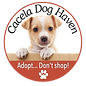 CDH.FinalLogo.Pup.11Apr24.png