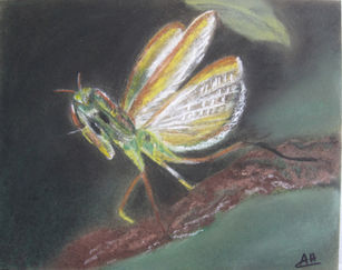 Andrée Hiar  Mante.  24 x 30 cm