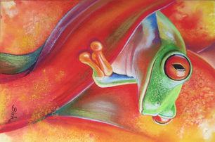 Red eye leaf frog, 43x28cm. Kerstin Birk .jpeg