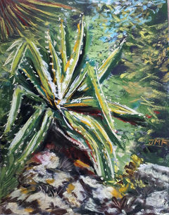 Jutta Maria Fleschutz  The old Agave  24x 30 cm