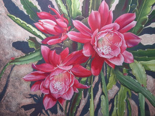 Kerstin Birk  Blooming leaf cactus  40x30cm