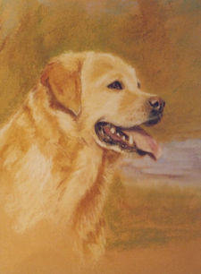 Golden boy.jpeg