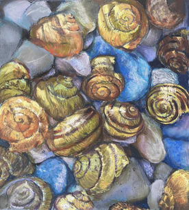 Madhu Roy, Scattered treasures of the sea, 18x17 cm .jpeg
