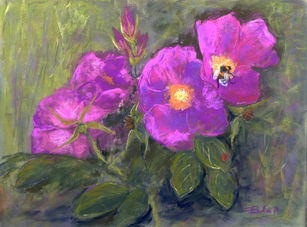 Rosa rugosa, 21.5x29.5cm. Elisabeth Blass.jpeg