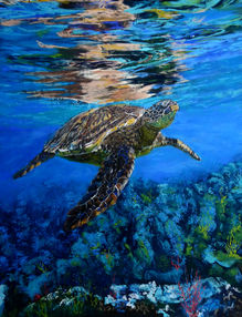Dolores Saul PGE, Honu, 30x40cm