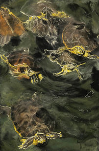 Janet Johnson,Turtle Soup, 18x12 _.jpeg
