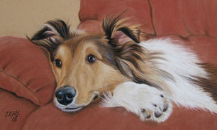 Collie, Christine Pitt.jpeg