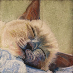 dreamer..jpeg