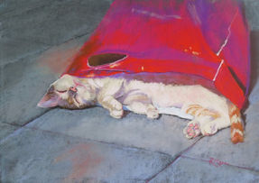 Ruth Mann PGE, Cat in a Bag. 25x 35cm