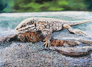 Ute Farr  Lizard in the sun. 30 x 40 cm