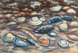 Ann Rohde Rasmussen, Strandskaller. 36x26 cm.jpeg