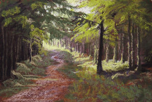 Path of Light, 20x30cm. Ruth Mann PGE.jpeg