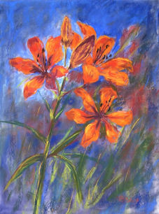Lilies, 29.5x22cm. Elisabeth Blass.jpeg