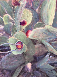Jane Robbins  Picking prickly pear  18x24