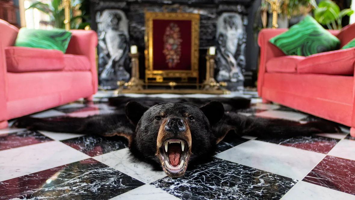a-bear-head-rug-in-front-of-the-fireplace.webp