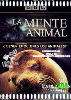 La Mente Animal Documental BBC ¿Tienen emociones los animales?