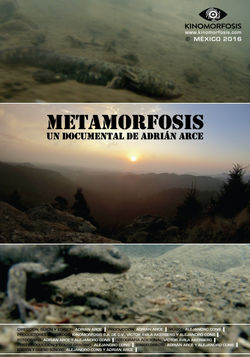 METAMORFOSIS
