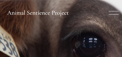 Animal Sentience Project