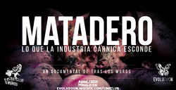 Matadero documental tras los muros Aitor Garmendia