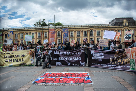 Movilización por la Liberación Animal: Apelación a la Virtud vs. Demanda de Justicia