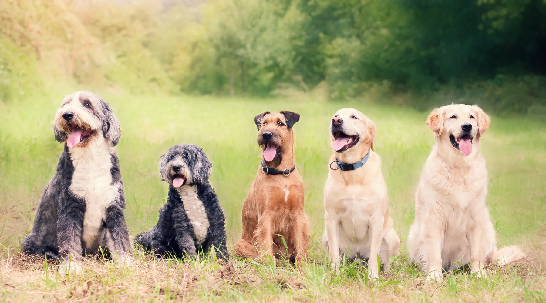 Writer: Victoria Falls Ranch