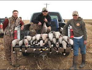 Texas-Triangle-Goose-11.jpg