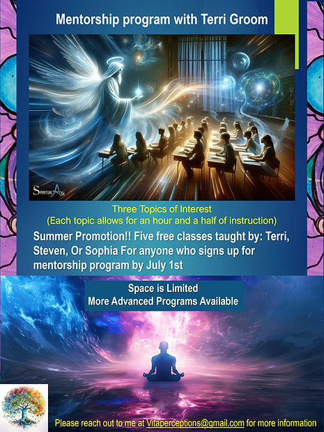 flier for the mentorship program.jpg