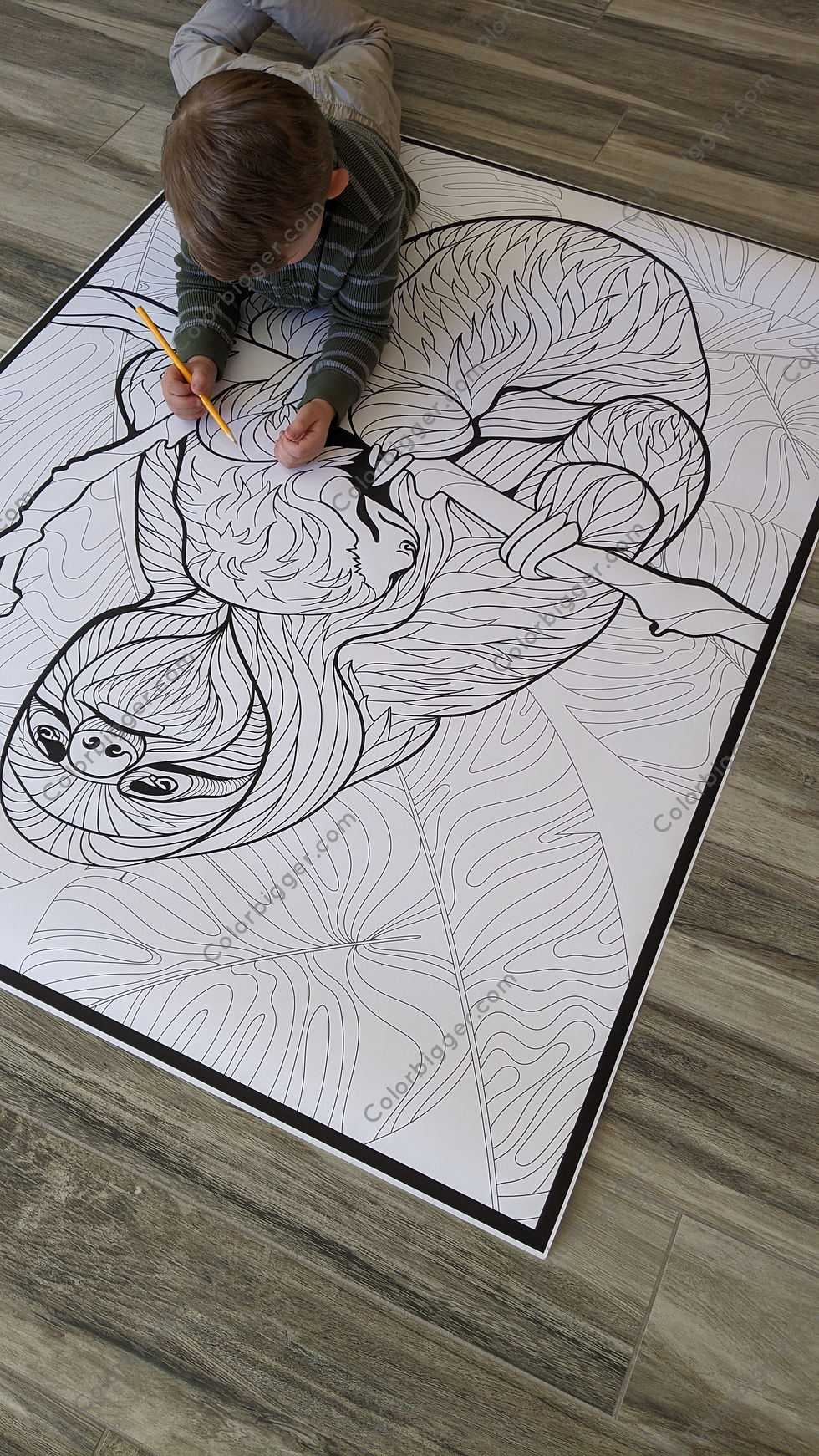 Thumbnail: Sloth coloring poster (now in two sizes).