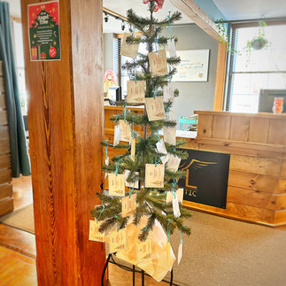 angel tree set up at owl chiropractic benefiting pressley ridge kids
