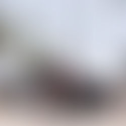 A Year of Events in Santa Barbara