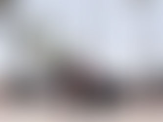 A Year of Events in Santa Barbara