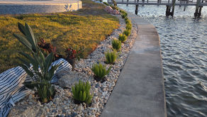 Designing Energy from the Outside In: A Waterfront Feng Shui Landscape Transformation
