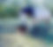 ginver.jpeg