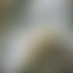 落ちて悔しく思う、フレッシュな今の気持ち。