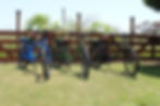 compress-1402_edited.jpg