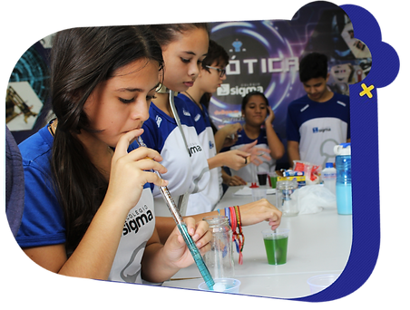 Novo Projeto (11).png