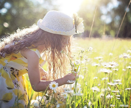 picking-flowers-2432972_1280.jpg